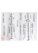 萬教符咒總集(上)(下)