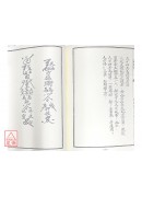 法竅闡微(078)鳳陽府絕學小法度(上)