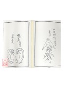 法竅闡微(001)(002)武當正一瑜珈手指200訣《卷上、卷下》