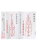 真傳實用招財寶典