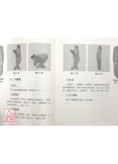 傳統太極拳(附DVD)