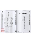 道坛作法全集《八》【28~29】乩童开列处方全集、符胆应用法