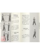 詠春拳入門必讀(附VCD)