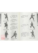陳式太極拳老架一路入門圖解七十四式(附DVD)