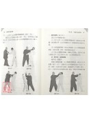 八翻手用法解析(附DVD)