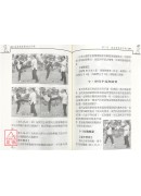 詠春拳秘傳狠招集粹