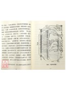 神奇皮內針與動態針灸療法