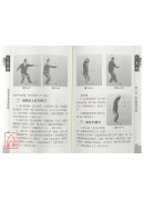 尚派形意拳械抉微(二)