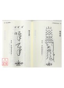 大師珍藏符咒秘笈