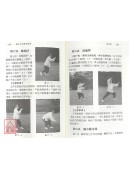 楊式太極拳架詳解