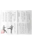 劉雲樵大師全十集