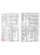 仙傳外科祕方[道藏本][增輯怪疾奇方、不藥療病法]