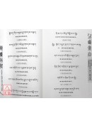 普巴金剛、空行黑忿怒母、大圓滿前行等八種合集