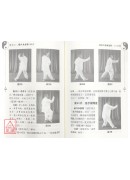 楊氏太極拳103式(附DVD)