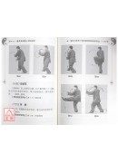 楊式太極拳小架與技擊(附DVD)