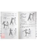 少林羅漢拳絕技實戰卷