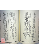 法竅闡微(022)普唵正宗符鎮法度