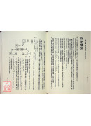 紫微斗數【1】(POD)_恭鑑老人