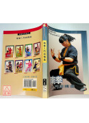 南拳入門與精進