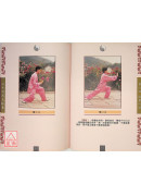 二十四式太極拳+VCD