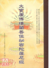 大寶廣博樓閣善住祕密陀羅尼經 C254