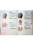 楊甲三針灸取穴圖解