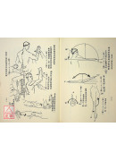 筋骨科-矯(蹻)推筋治療學(上下冊)