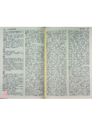 新編佛學大辭典(二冊)