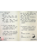 飛星紫微斗數「道藏飛秘」的邏輯與功法