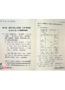 飛星紫微斗數「道藏飛秘」的邏輯與功法