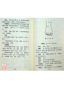 實用經外穴精選