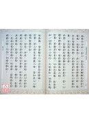 佛說首楞嚴三昧經 C171