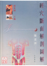 經穴斷面解剖圖解(腹盆部)