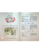 經穴斷面解剖圖解(腹盆部)