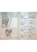 經穴斷面解剖圖解(腹盆部)
