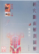 經穴斷面解剖圖解(腹盆部)