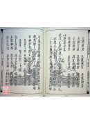 道教儀範全集(507)太上正乙法事科儀<派集八卷>宿啟.捲簾.分燈.鳴金振玉科