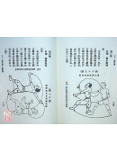 武當三十二勢長拳