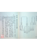 紫微斗數命理學正解(一)