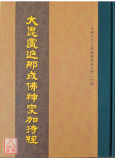 大毘盧遮那成佛神變加持經 C283