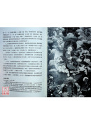 西藏密傳星宿占卜術