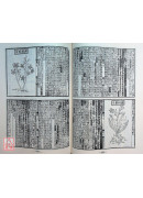 經史證類大觀本草