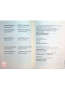 無畏獅子吼：大圓滿之甚深教法