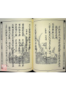 道教儀範全集(512)太上正乙法事科儀<高集十三卷>清醮早朝科、清醮晚朝科