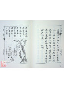 中國預言救劫書彙編(1~10冊)