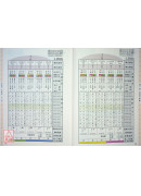 《三元年鑑》丙午、丁未（天河水）