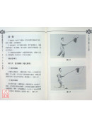 崔毅士真傳 楊派太極十三式 拳‧劍‧刀‧棍‧槍精練(附VCD)