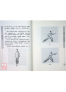少林飛龍拳