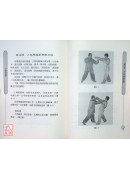 少林飛龍拳